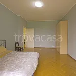 Rent 3 bedroom apartment of 70 m² in Biella