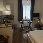 Rent 1 bedroom apartment of 25 m² in Lyon