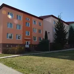 Rent 1 bedroom apartment in Znojmo