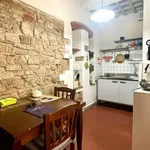 Rent 1 bedroom apartment of 35 m² in Firenze