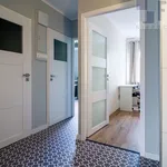 Rent 2 bedroom apartment of 50 m² in Łódź