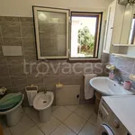 Rent 3 bedroom apartment of 68 m² in Budoni