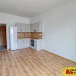 Rent 2 bedroom apartment in Znojmo