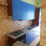 Rent 3 bedroom apartment of 75 m² in Montanaro