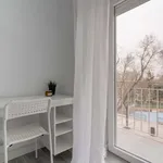 Rent a room in Madrid