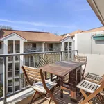 141/81 Kennedy Street, Kingston ACT 2604 - Apartment For Rent | Domain