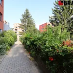 Rent 1 bedroom apartment of 45 m² in Brno