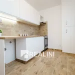 Pronájem bytu 2+1 54m²