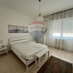 Rent 3 bedroom apartment of 90 m² in Siracusa