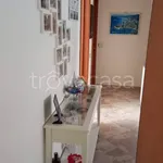 Rent 4 bedroom apartment of 90 m² in Misterbianco