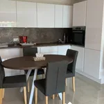 Rent 3 bedroom apartment of 60 m² in Nice