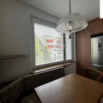 Rent 3 bedroom apartment of 75 m² in Brno