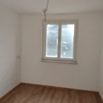 Rent 2 bedroom apartment of 53 m² in Steyr