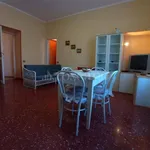 Rent 1 bedroom apartment of 60 m² in Frosinone