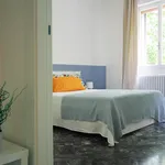 Rent 3 bedroom apartment in Bologna