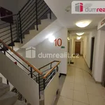 Rent 1 bedroom apartment of 36 m² in Capital City of Prague