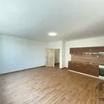 Rent 1 bedroom apartment of 36 m² in Capital City of Prague