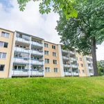 Rent 3 bedroom apartment of 60 m² in Chemnitz