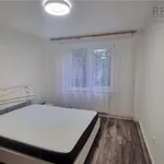 Rent 3 bedroom apartment of 62 m² in Brasov