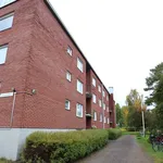 Vuokraa 2 makuuhuoneen asunto, 39 m² paikassa Muurame