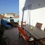 Rent 2 bedroom apartment of 120 m² in Olbia