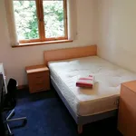 Rent 3 bedroom apartment in Scotland