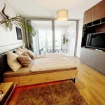 Rent 3 bedroom apartment in Prague