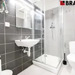 Rent 2 bedroom apartment of 33 m² in Brno