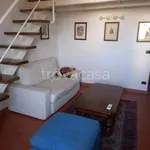 Rent 3 bedroom apartment of 55 m² in Firenze