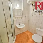 Rent 1 bedroom apartment of 35 m² in Plzeň