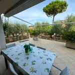 Rent 8 bedroom house of 220 m² in Perugia