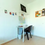 Rent 4 bedroom apartment in Valencia