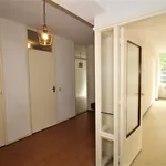 Huur 3 slaapkamer appartement van 85 m² in The Hague