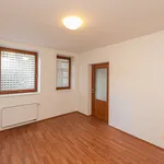 Pronajměte si 1 ložnic/e dům o rozloze 300 m² v Prague