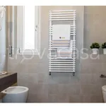 Rent 1 bedroom apartment of 40 m² in Milano