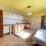 Rent 3 bedroom house of 117 m² in Gratteri