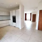 Rent 3 bedroom house in Newcourt drive