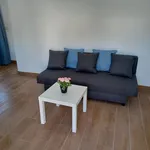 Rent 1 bedroom apartment in Porto