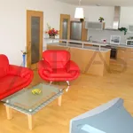 Rent 4 bedroom apartment of 141 m² in Prague