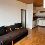 Rent 2 bedroom apartment of 47 m² in Planá