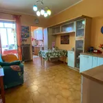 Rent 3 bedroom apartment of 85 m² in Torino