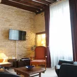 Rent 1 bedroom apartment in PARIS 4