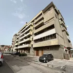 Rent 2 bedroom apartment of 70 m² in Roma