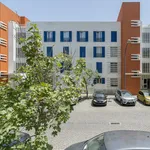 Rent 3 bedroom apartment of 121 m² in Lisbon