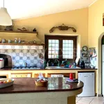 Rent 4 bedroom house of 270 m² in Rome