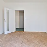 Rent 3 bedroom apartment in Brno