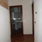 Rent 2 bedroom apartment of 40 m² in Pavia