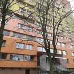 Rent 1 bedroom apartment of 35 m² in Ostrava