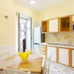 Rent 1 bedroom apartment in Naples