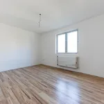 Rent 3 bedroom apartment in Budapest